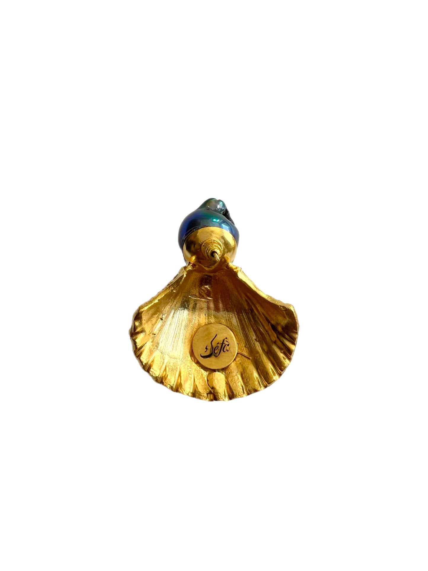 Shell Earrings